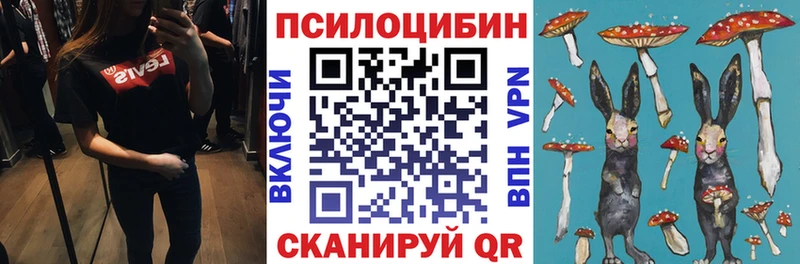Псилоцибиновые грибы Cubensis  hydra ссылки  Заозёрск 